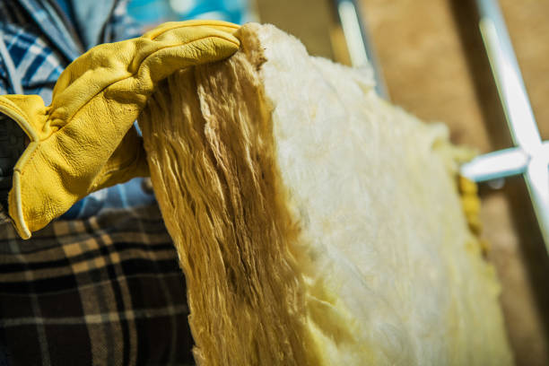 Best Insulation Maintenance and Repair in Knoxvle, IL